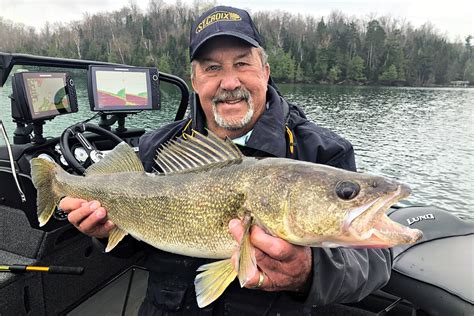  Walleye: ¡Descubriendo la magia de los ojos que brillan como perlas bajo el agua!